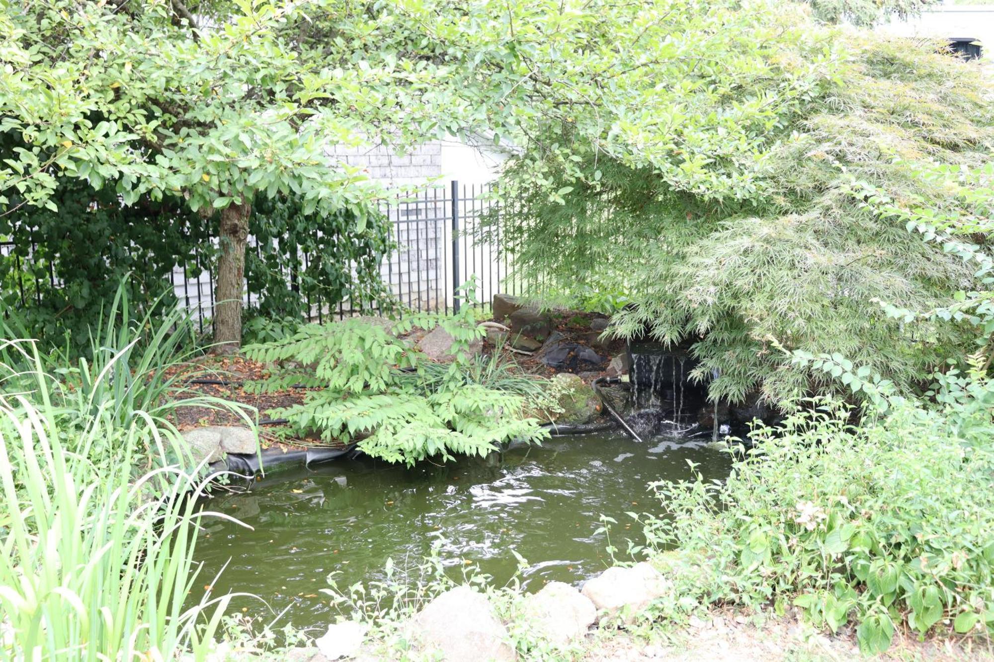 Adamstown Vaast Bed & Breakfast מראה חיצוני תמונה